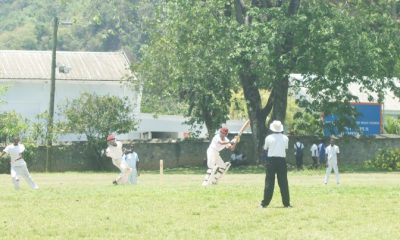 Cricket Training