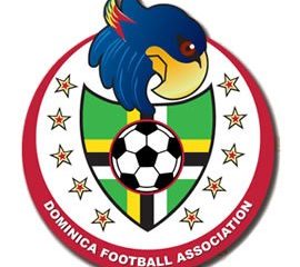 DFA logo