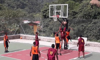 2017 Primary Schools Mini Basketball Festival