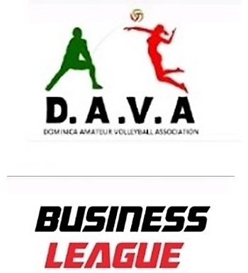DAVA Business League